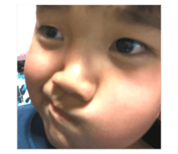 43067465
