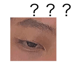 430686851