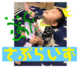 430687835