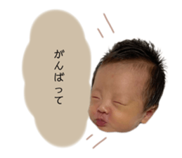 430804650