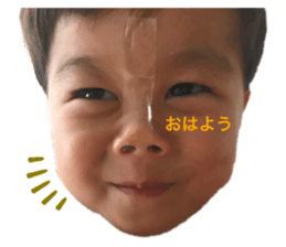 430821596