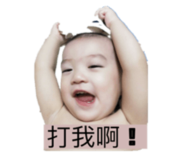 430827676