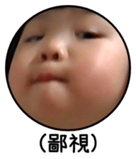 430839732