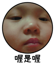 430839733
