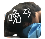 430875653