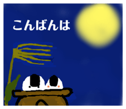 430896974