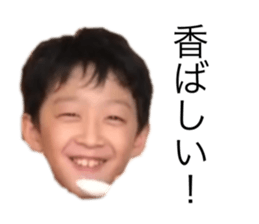 430909193