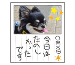 430956376