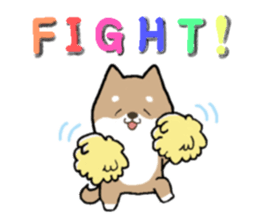 430996927