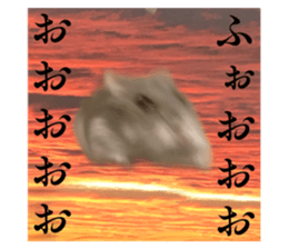 431068762