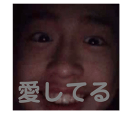 431068815