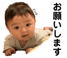 431083626
