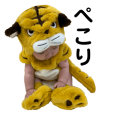 431083633
