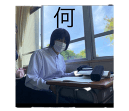 431097627