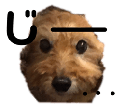 431118659