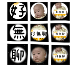 431146728