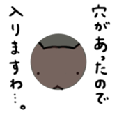4311762