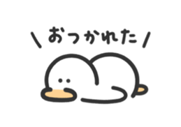 431247053