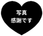 431247748