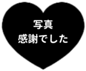 431247749