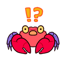 431255893