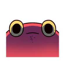 431255897