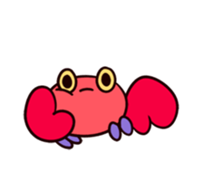 431255900