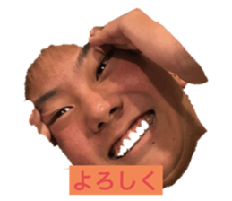 431270038
