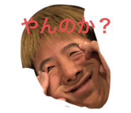 431270040