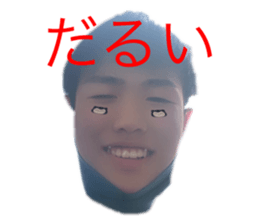 431270044