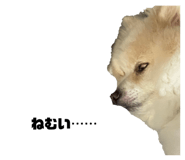 431325014