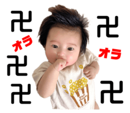 431366341