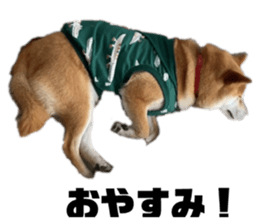 431489886
