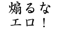 431566146