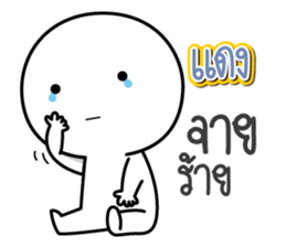 43156944