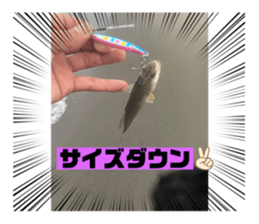 431594813