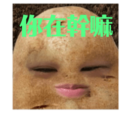 431598341