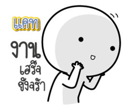 43164459