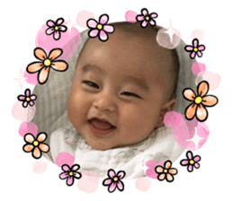 431686532