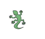 431738427