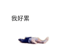 431759755