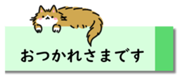 431775689