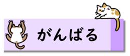 431775714