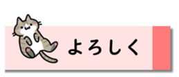 431775717