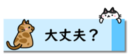 431775720