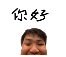 431980440
