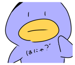 432011703