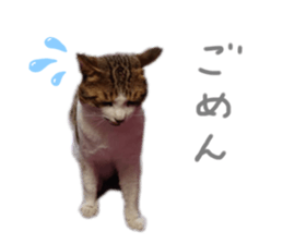 432015576