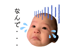 432019733