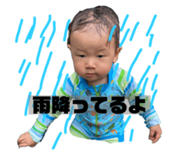 432023513